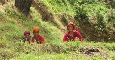 i8431w_women-working-in-fields