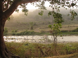 i8838w_washing-on-the-ramganga_scenic