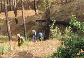 i9099w_women-carrying-water