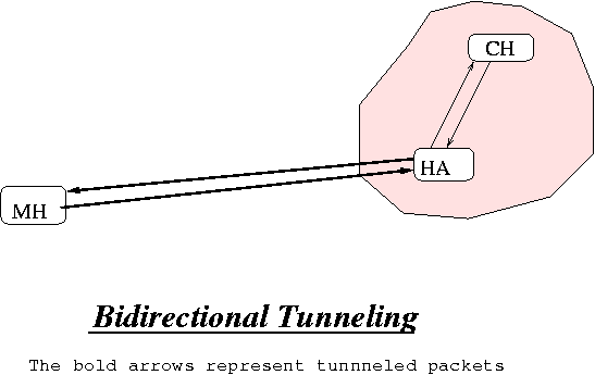 Bidirectional Tunneling