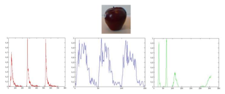 apple signature