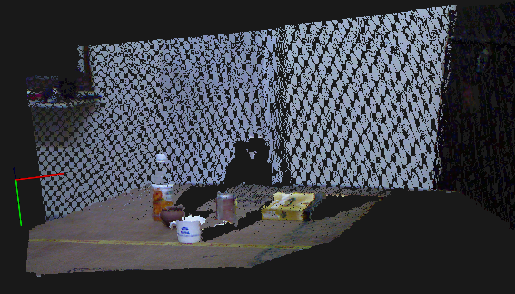 Input point cloud