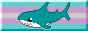 88x31 button: Bl&aring;haj shark on trans pride flag