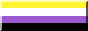 88x31 button: non-binary pride flag