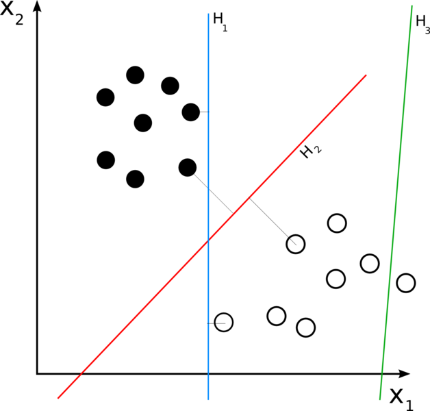 Binary Classification image.